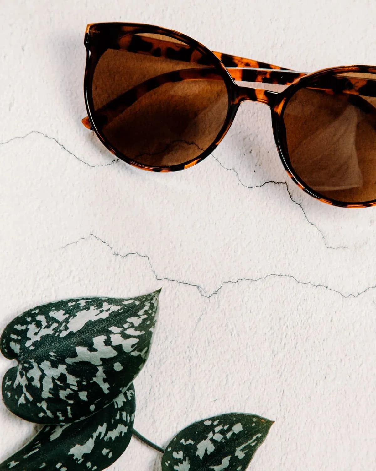 Riviera Classic Sunglasses